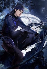 《浮云乱记》