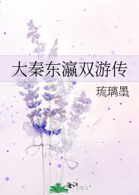 《大秦东瀛双游传》
