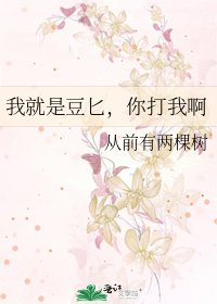 《我就是豆匕,你打我啊》