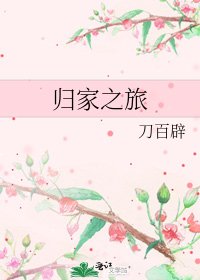 归家之旅