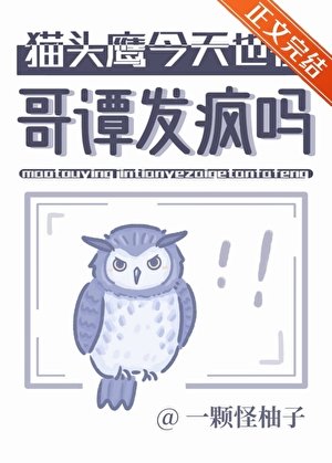 貓頭鷹今天也在哥譚發瘋嗎